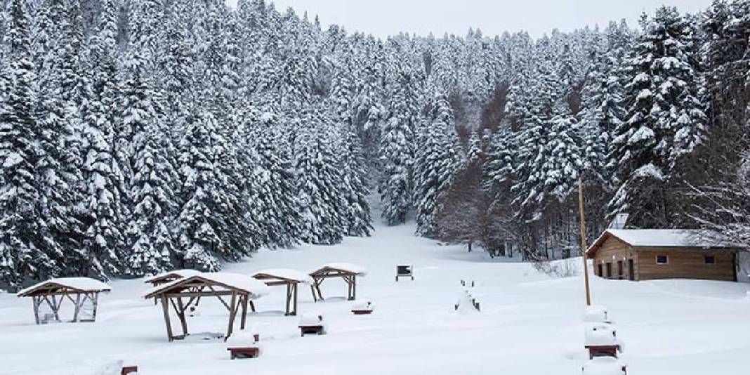 Dışarıda kar huzuru, içeride şömine sıcaklığı! Kış tatili burada bir başka: Türkiye’nin en doğal cenneti 2